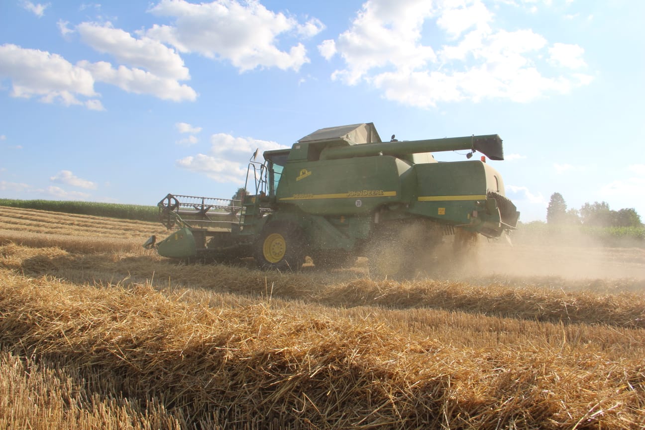 Mähdrescher bei der Getreideernte im Gegenlicht, Staub steigt über dem Feld auf