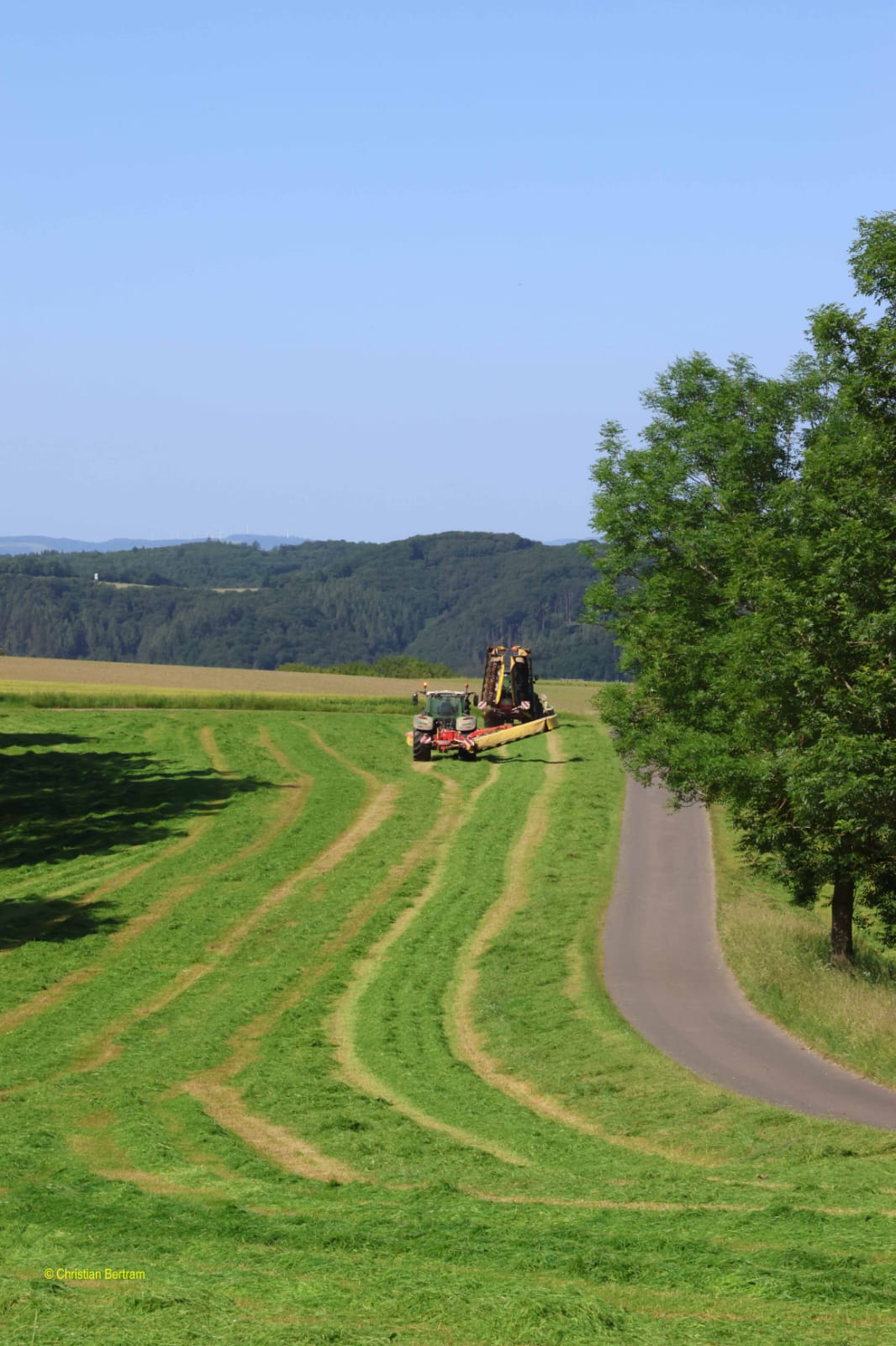 Traktor mit Mähwerk auf einem Feldweg zwischen hohen Bäumen, frisch gemähte Wiese